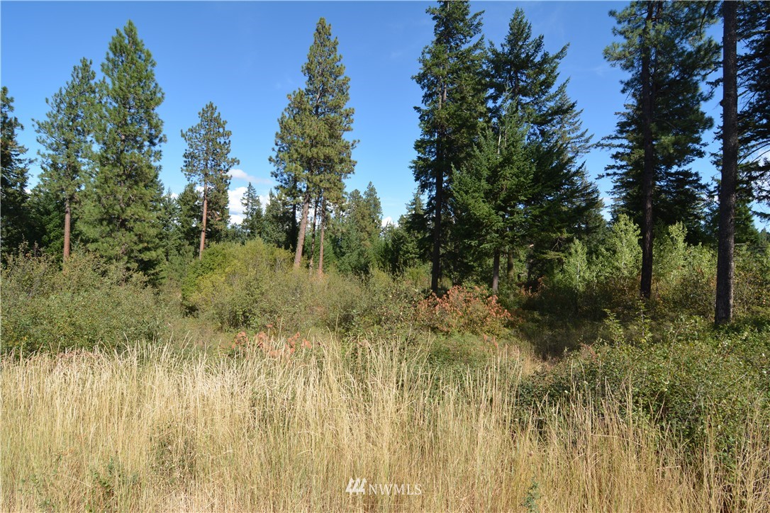 6051 Upper Peoh Point Road Cle Elum, WA 98922 - Photo 4 of 22 Gallery Image 4
