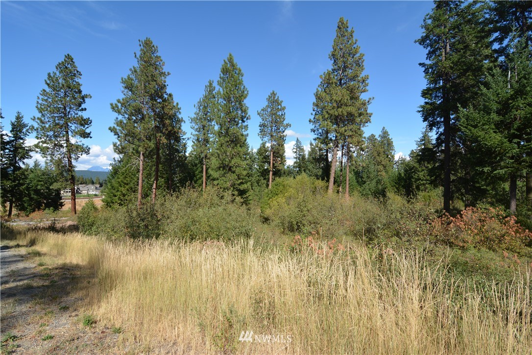 6051 Upper Peoh Point Road Cle Elum, WA 98922 - Photo 5 of 22 Gallery Image 5