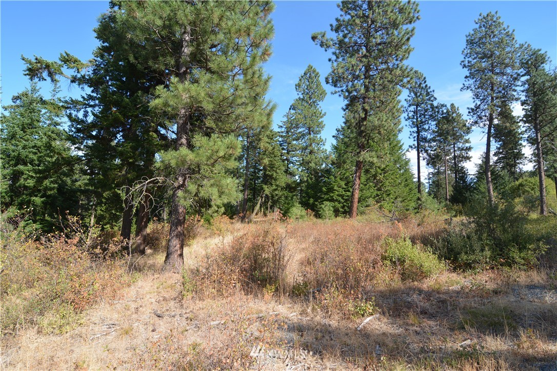 6051 Upper Peoh Point Road Cle Elum, WA 98922 - Photo 6 of 22 Gallery Image 6