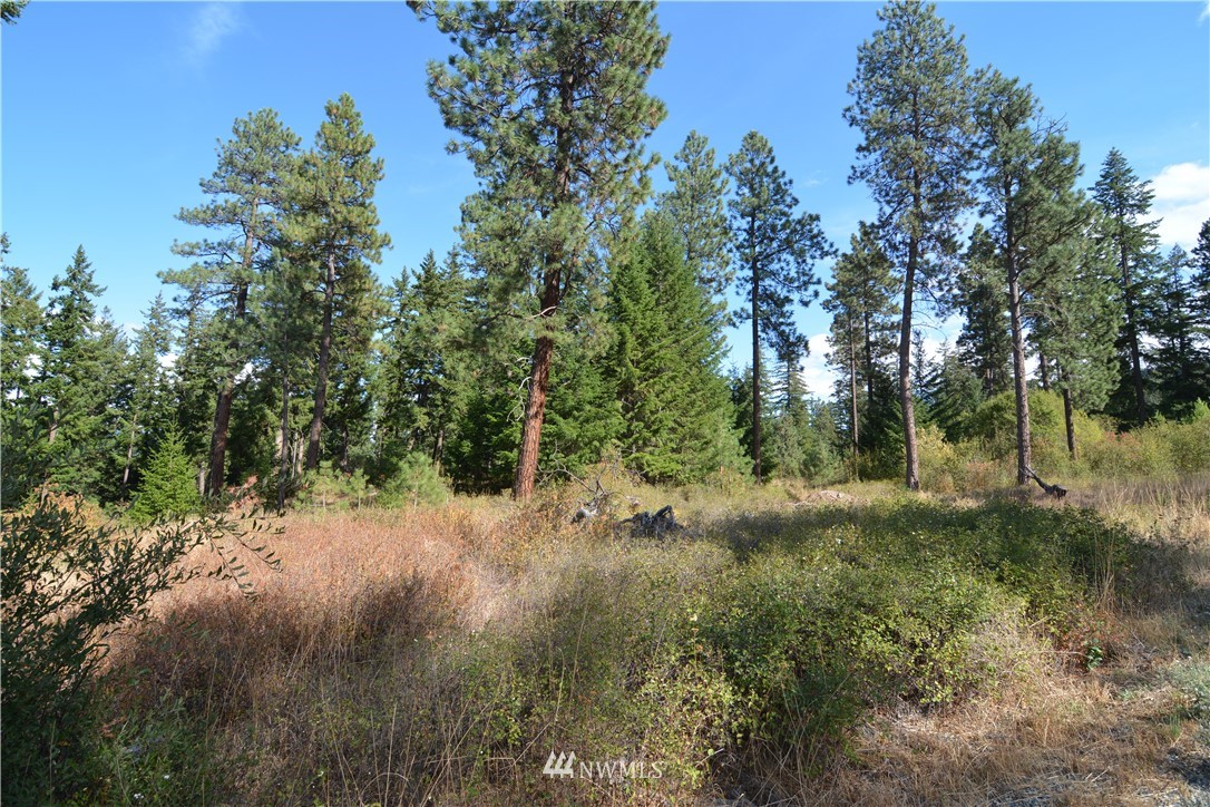 6051 Upper Peoh Point Road Cle Elum, WA 98922 - Photo 7 of 22 Gallery Image 7