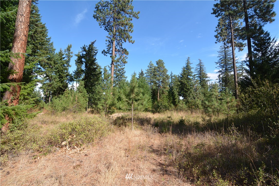 6051 Upper Peoh Point Road Cle Elum, WA 98922 - Photo 8 of 22 Gallery Image 8