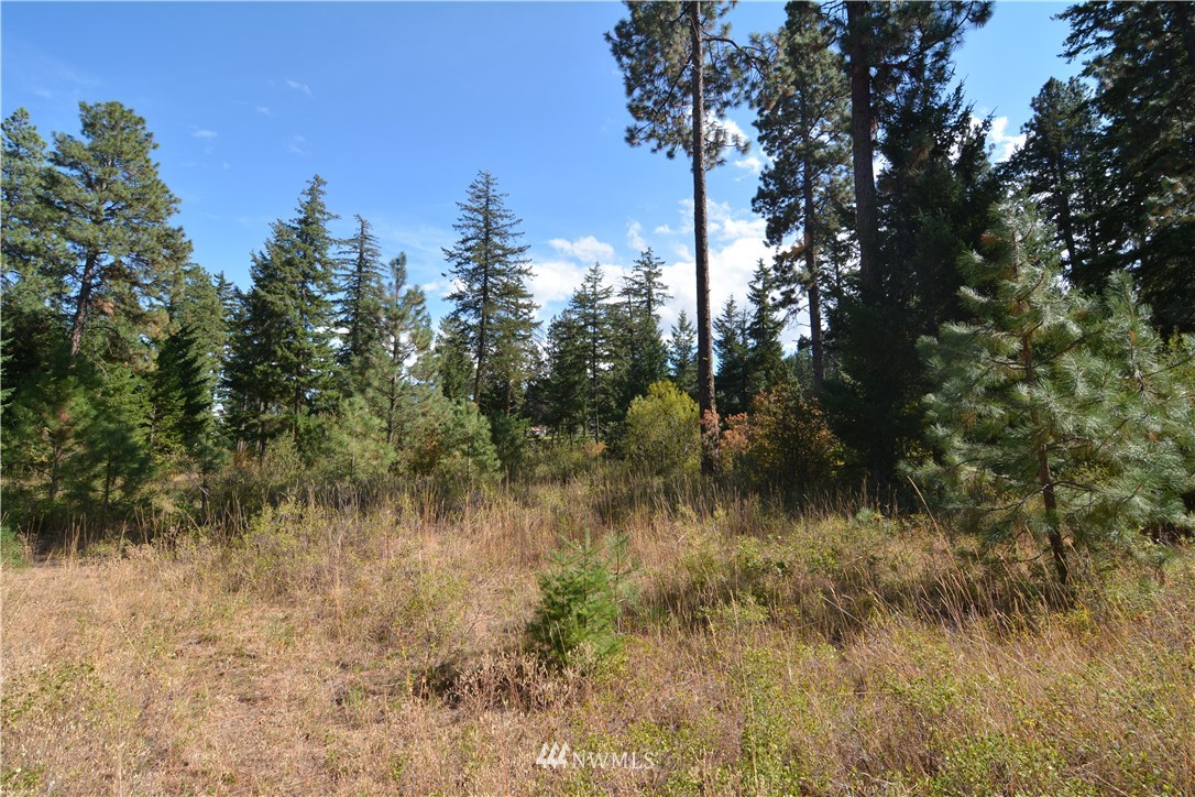 6051 Upper Peoh Point Road Cle Elum, WA 98922 - Photo 9 of 22 Gallery Image 9