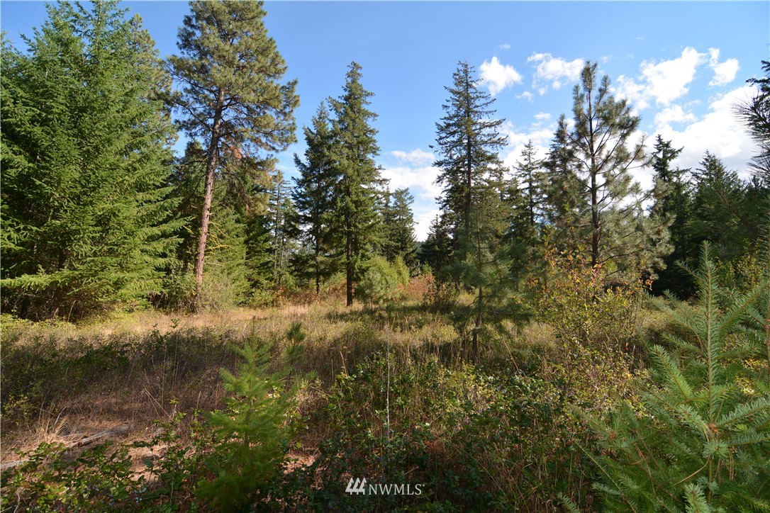 6051 Upper Peoh Point Road Cle Elum, WA 98922 - Photo 10 of 22 Gallery Image 10