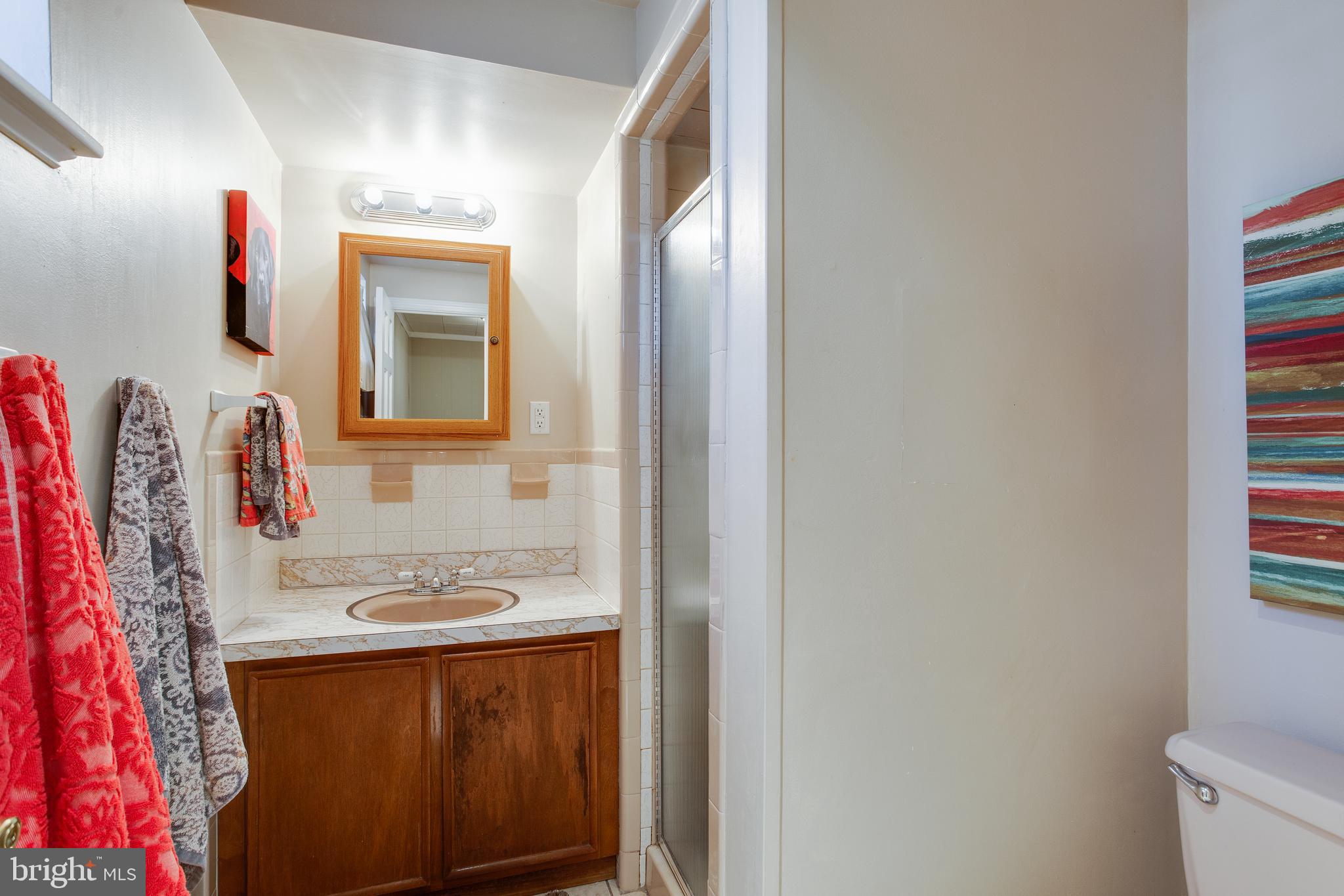 6728 Greenleaf Street Springfield, VA 22150 - Photo 26 of 39 Bath Lower Level