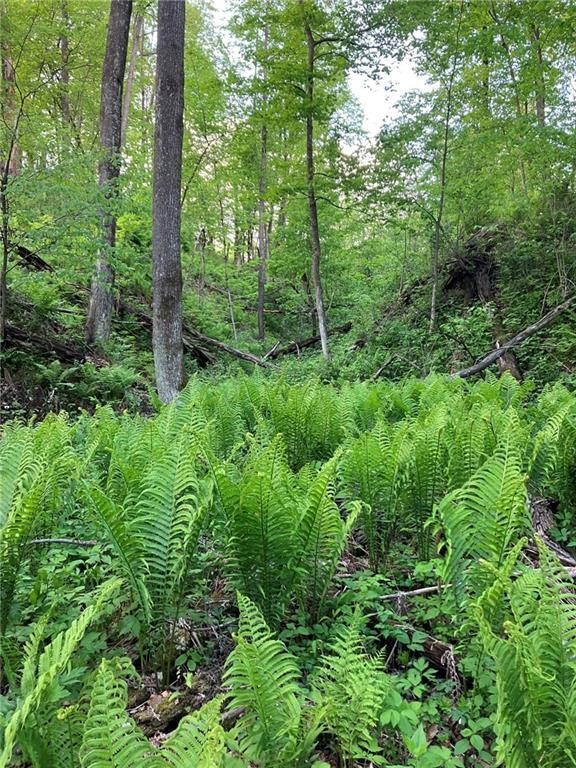 N3953-201 Bear Pen Road Arkansaw, WI 54721 - Photo 16 of 43