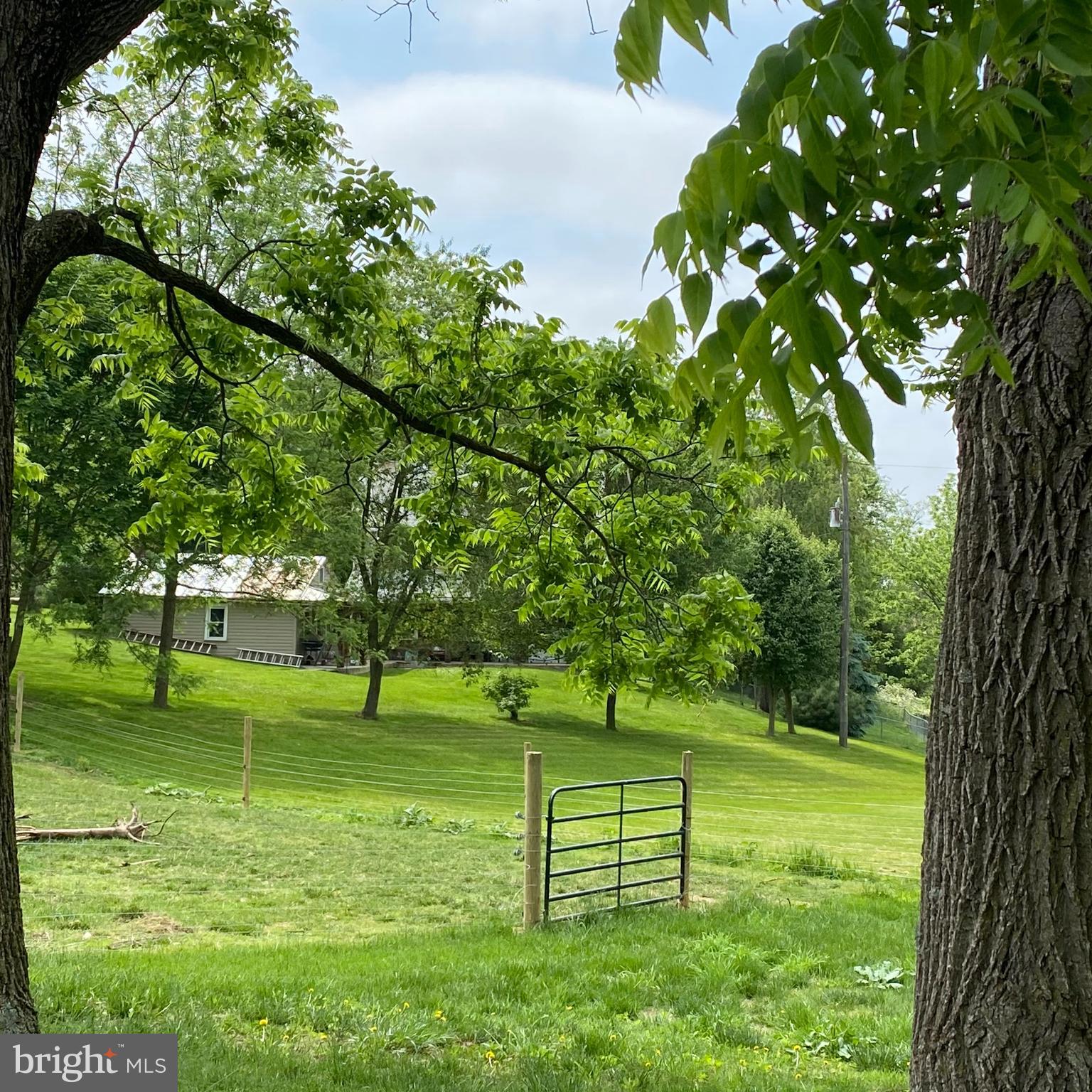 61 Baltimore Street Spring Grove, PA 17362 - Photo 11 of 51 a view of a park with large trees