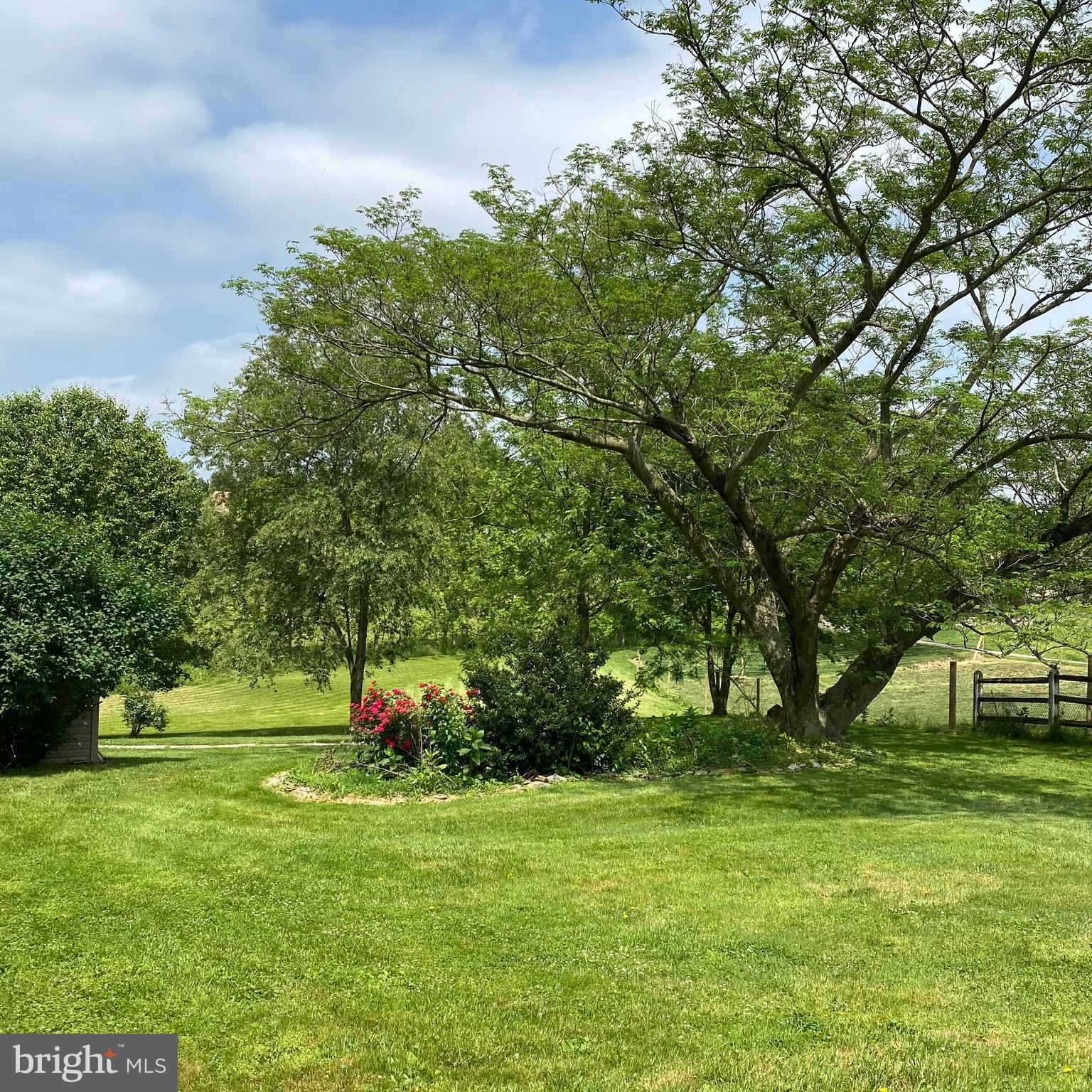 61 Baltimore Street Spring Grove, PA 17362 - Photo 3 of 51 a green field with lots of trees
