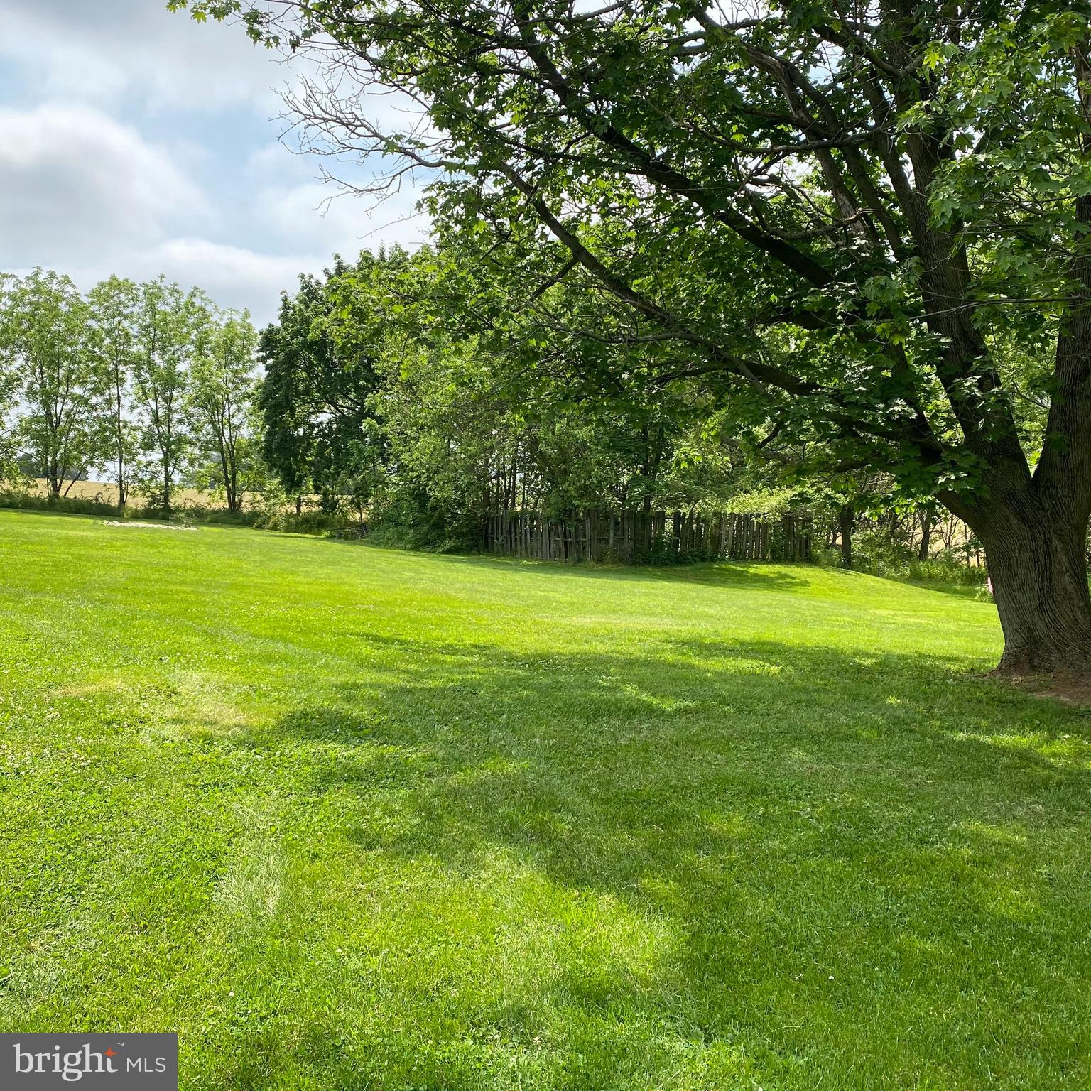 61 Baltimore Street Spring Grove, PA 17362 - Photo 5 of 51 a view of a big yard with a plants and large trees