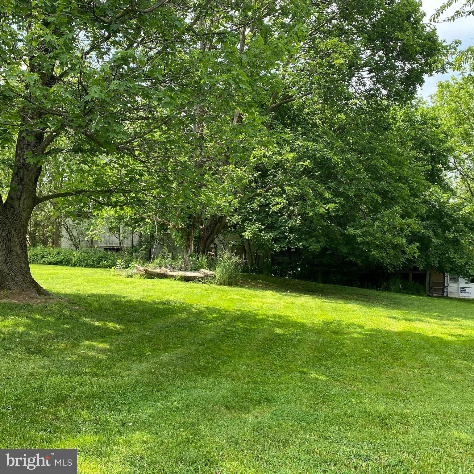 61 Baltimore Street Spring Grove, PA 17362 - Photo 6 of 51 a view of a trees in a yard