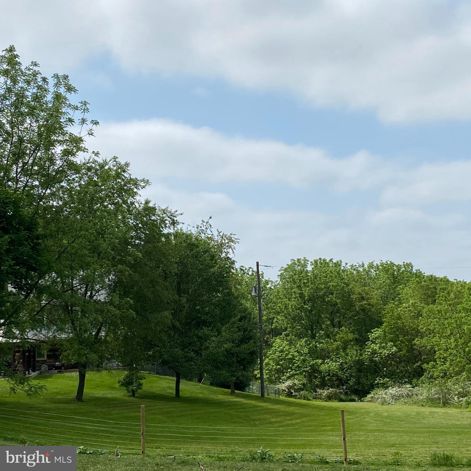61 Baltimore Street Spring Grove, PA 17362 - Photo 10 of 51 a view of a big yard with a large tree