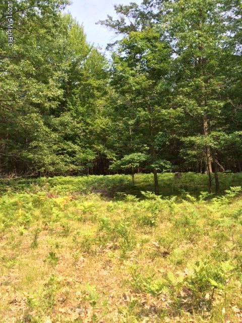 8524 West County Line Road Barryton, MI 49305 - Photo 30 of 31 IMG_6455