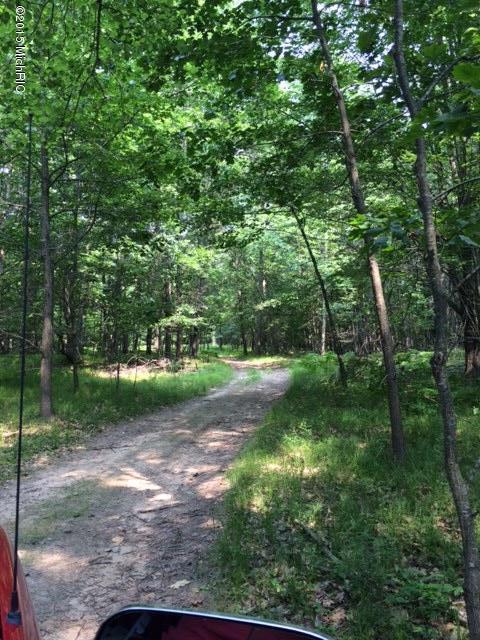 8524 West County Line Road Barryton, MI 49305 - Photo 31 of 31 IMG_6453