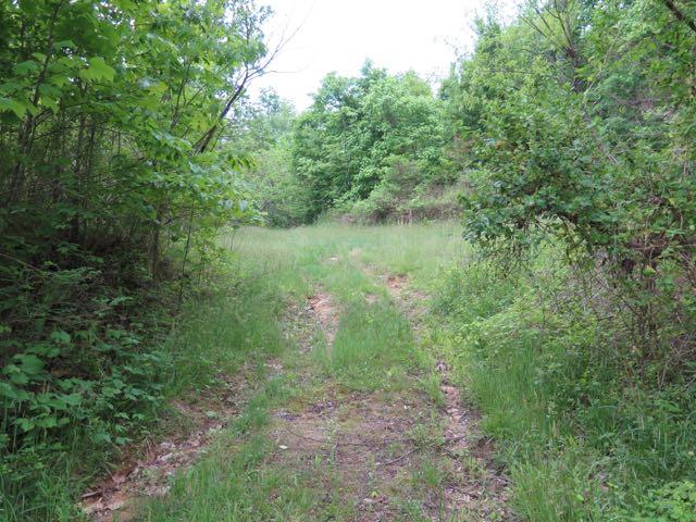 1441 Audrey Lane Blue Ridge, VA 24064 - Photo 20 of 57 AudreyLn - pathway