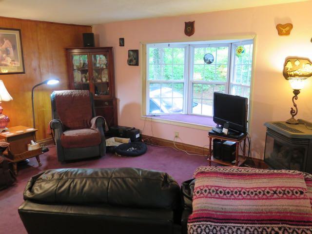 1441 Audrey Lane Blue Ridge, VA 24064 - Photo 21 of 57 AudreyLn - 23
