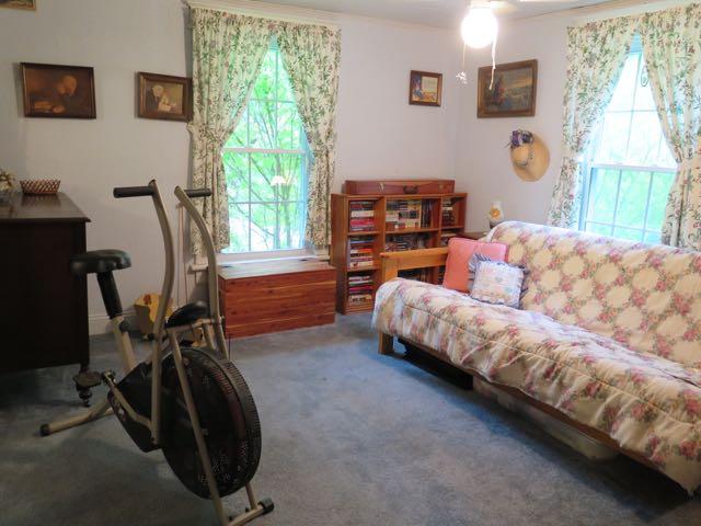 1441 Audrey Lane Blue Ridge, VA 24064 - Photo 28 of 57 AudreyLn - 30