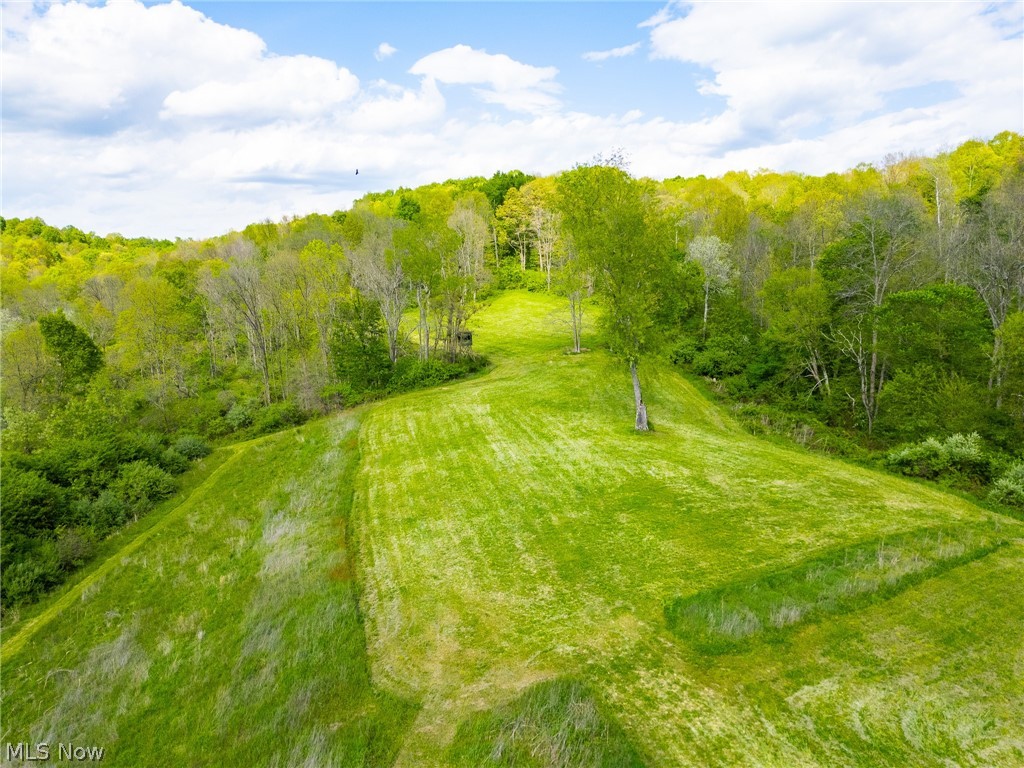 69800 Skull Fork Road Freeport, OH 43973 - Photo 16 of 50