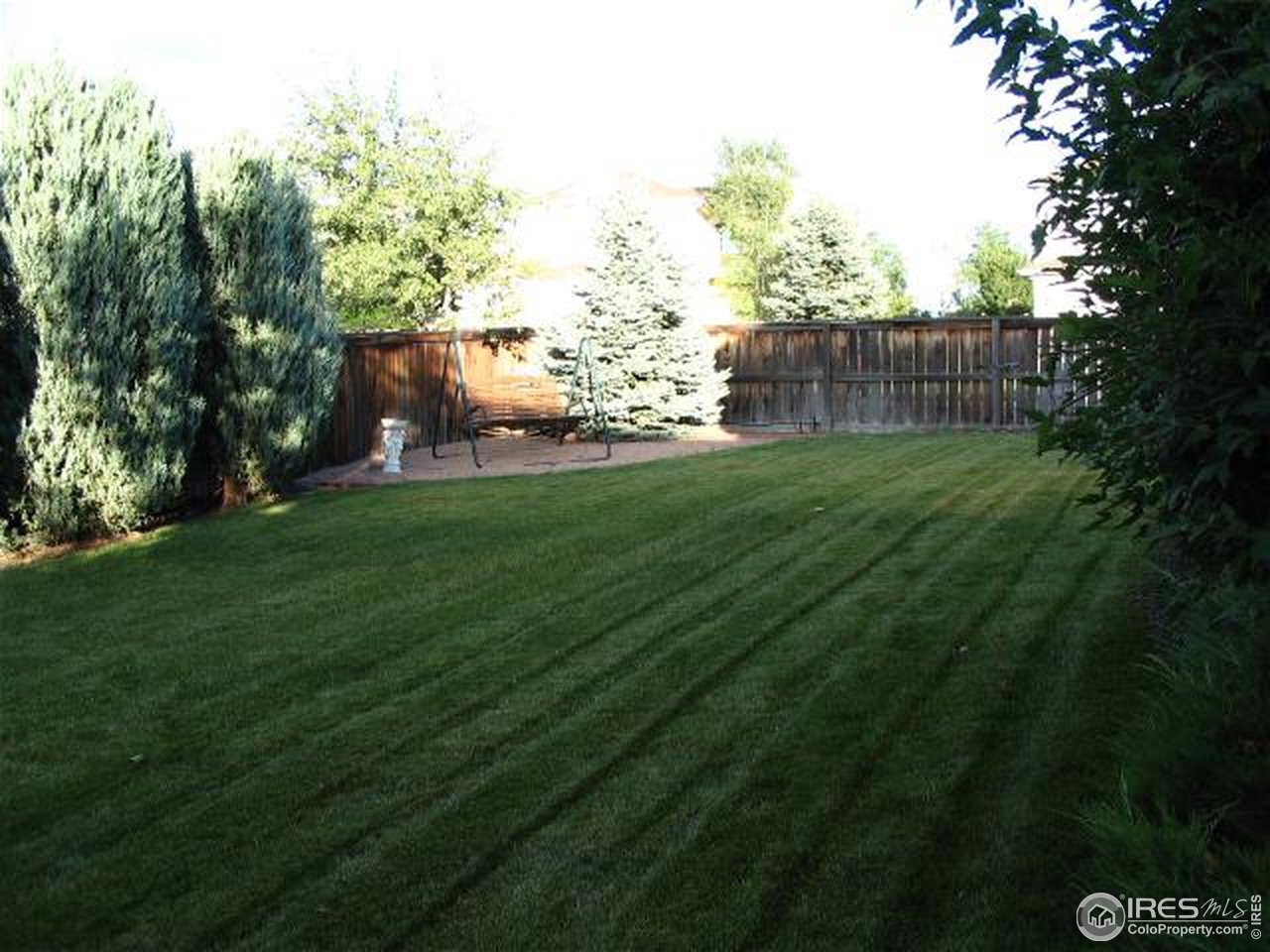 10015 Silver Maple Road Littleton, CO 80129 - Photo 3 of 11 a view of a backyard