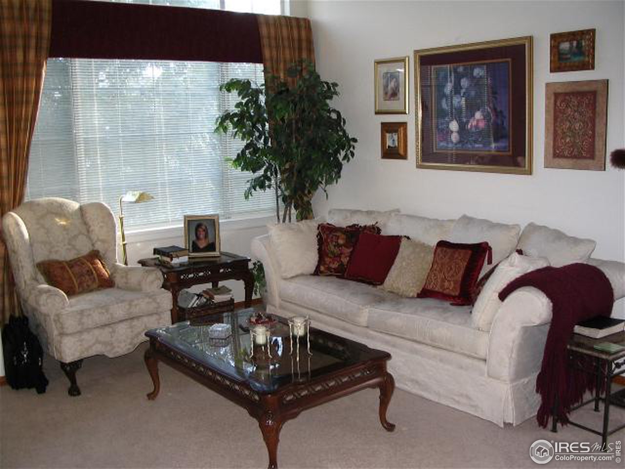 10015 Silver Maple Road Littleton, CO 80129 - Photo 6 of 11 a living room with furniture and a potted plant