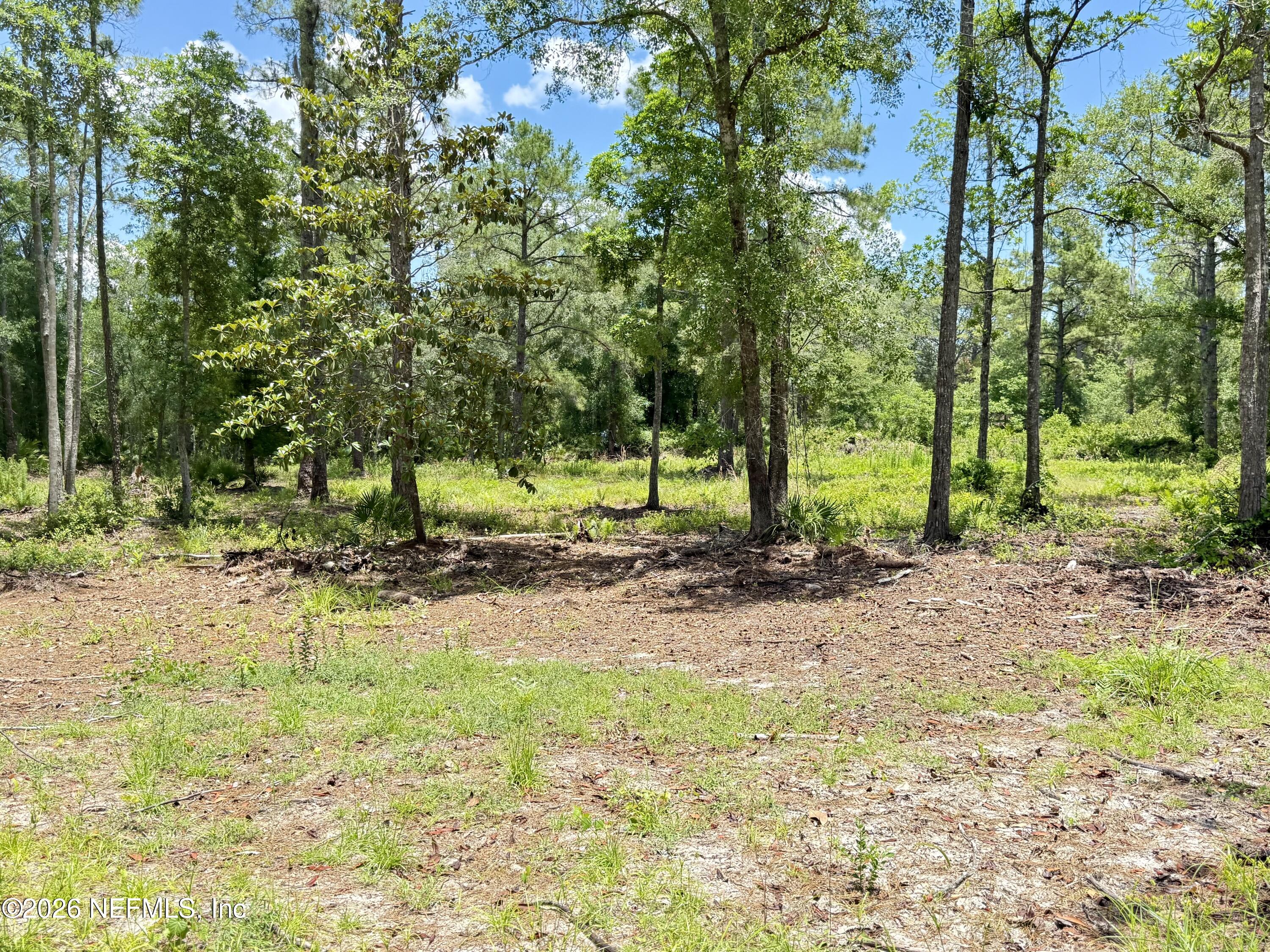 438 Chamberlain Road Satsuma, FL 32189 - Photo 17 of 21 IMG_2980