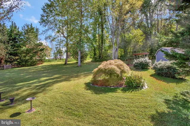 a backyard of a house with lots of green space