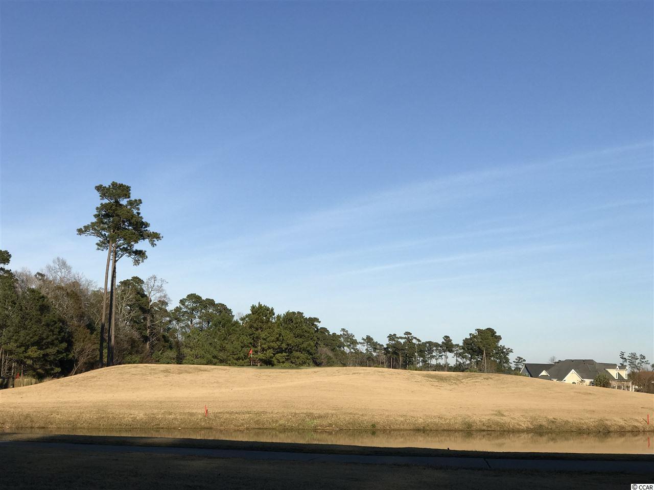 100 Madrid Drive, Unit 100 Murrells Inlet, SC 29576 - Photo 2 of 22 Gallery Image 2