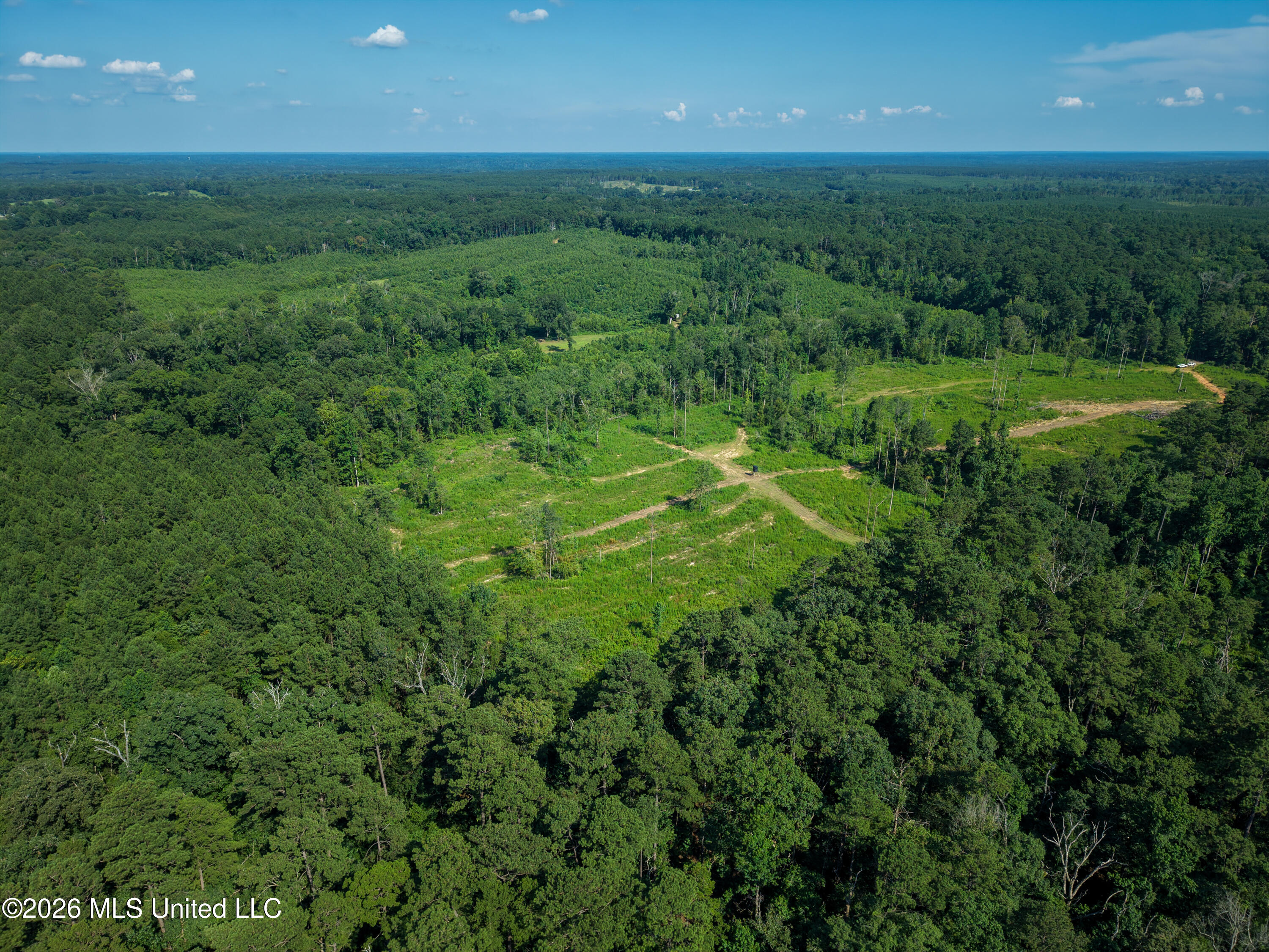 Lower Liberty Gloster Road Gloster, MS 39638 - Photo 10 of 26 103+_- Acres wide 6
