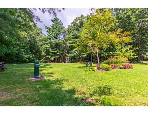 833 Edgell Road Framingham, MA 01701 - Photo 24 of 24 a garden view