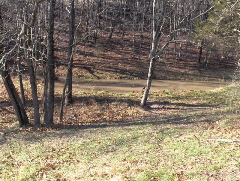 Thistle Hollow Road Peterstown, WV 24963 - Photo 16 of 32 11
