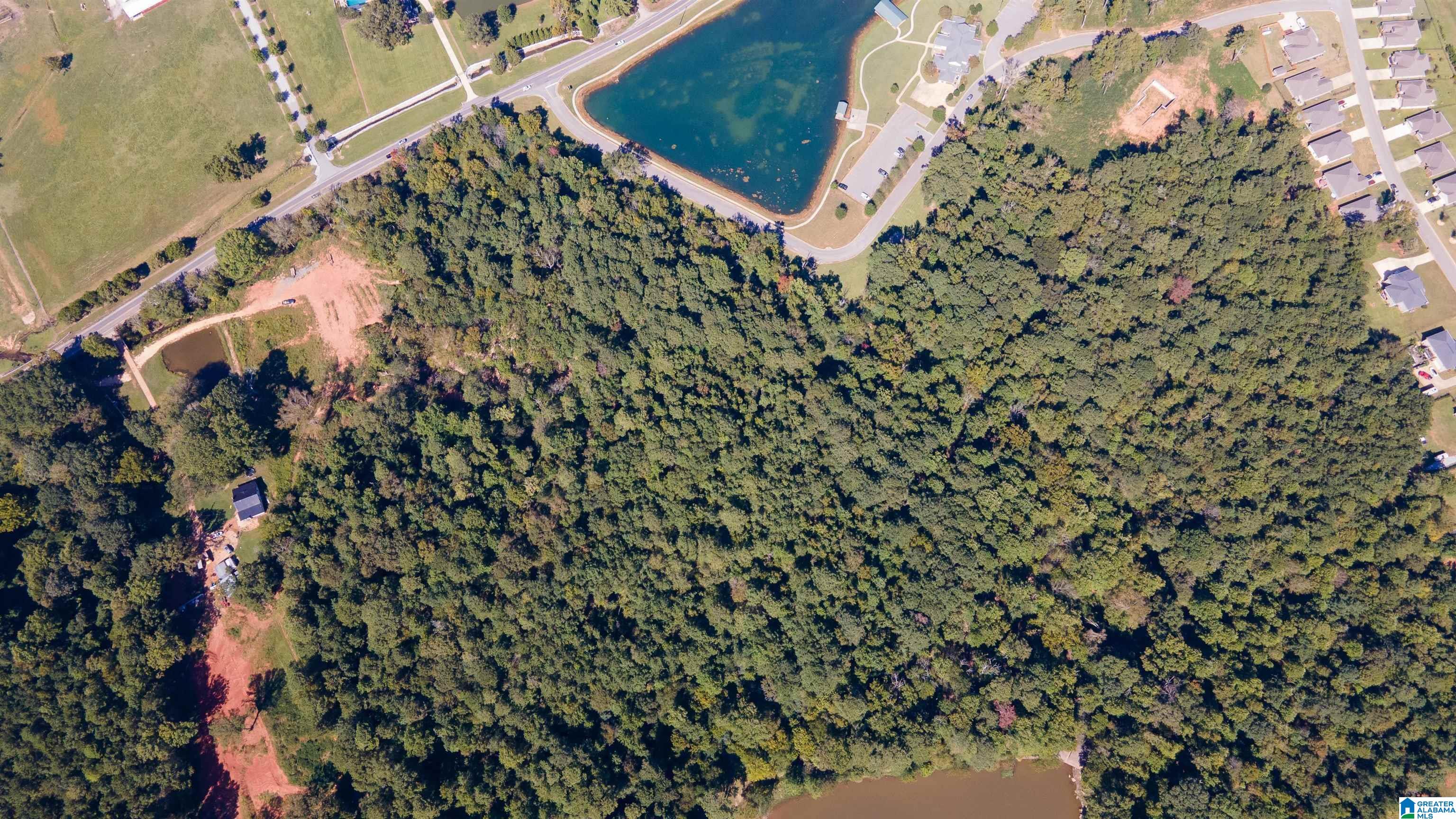 250 Angel Lake Road, Unit 1 PARCEL Jacksonville, AL 36265 - Photo 10 of 10