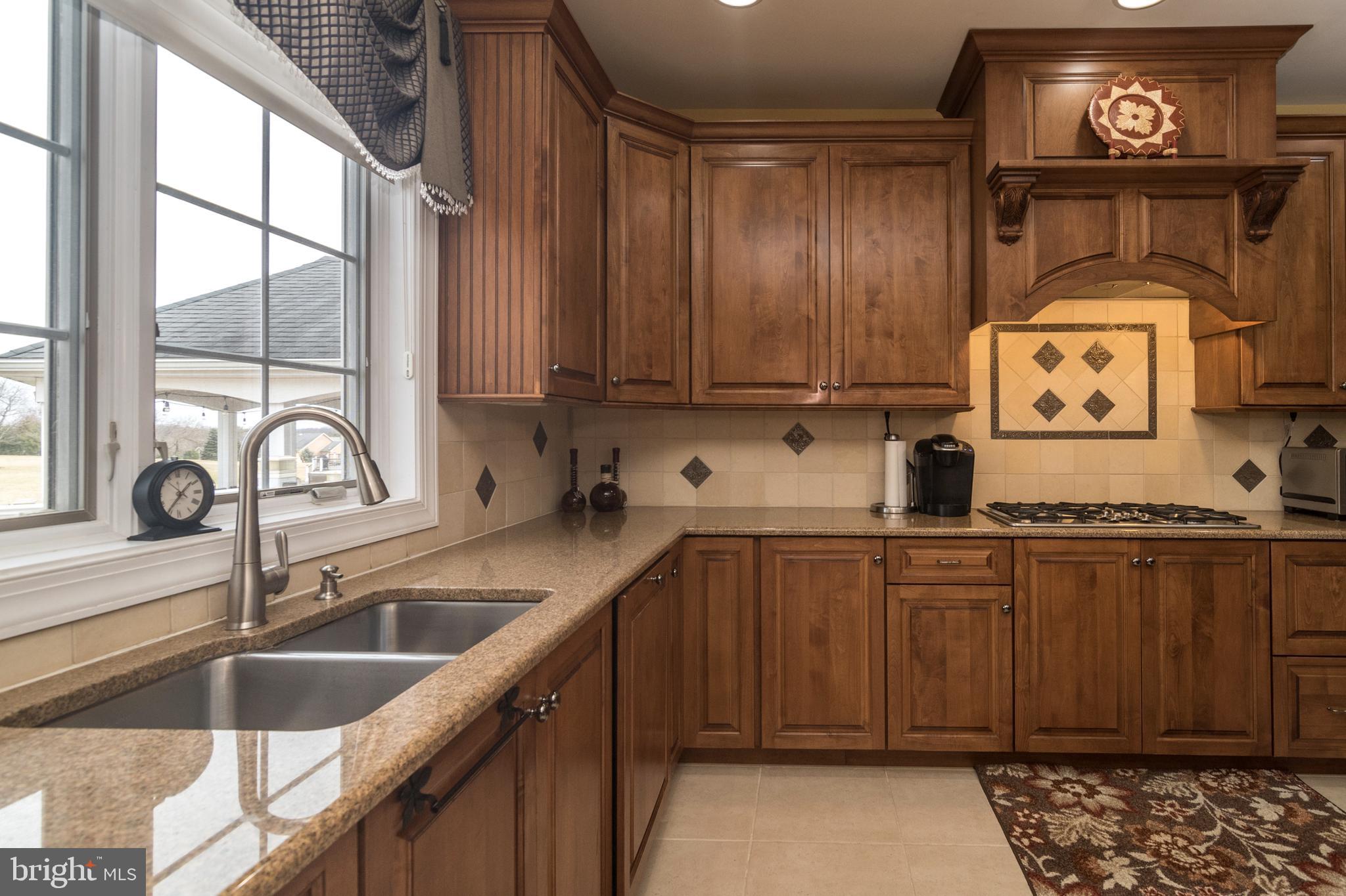 1423 Reiner Road Eagleville, PA 19403 - Photo 13 of 41 Granite counters; view of rear yard