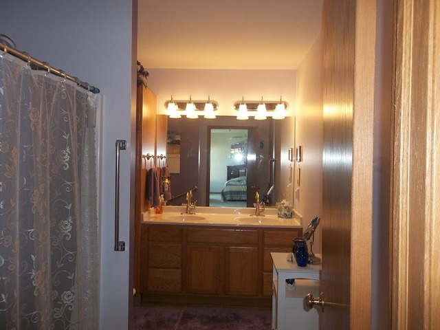 1232 Pickwick Drive Rochelle, IL 61068 - Photo 16 of 16 a bathroom with a double vanity sink and a mirror