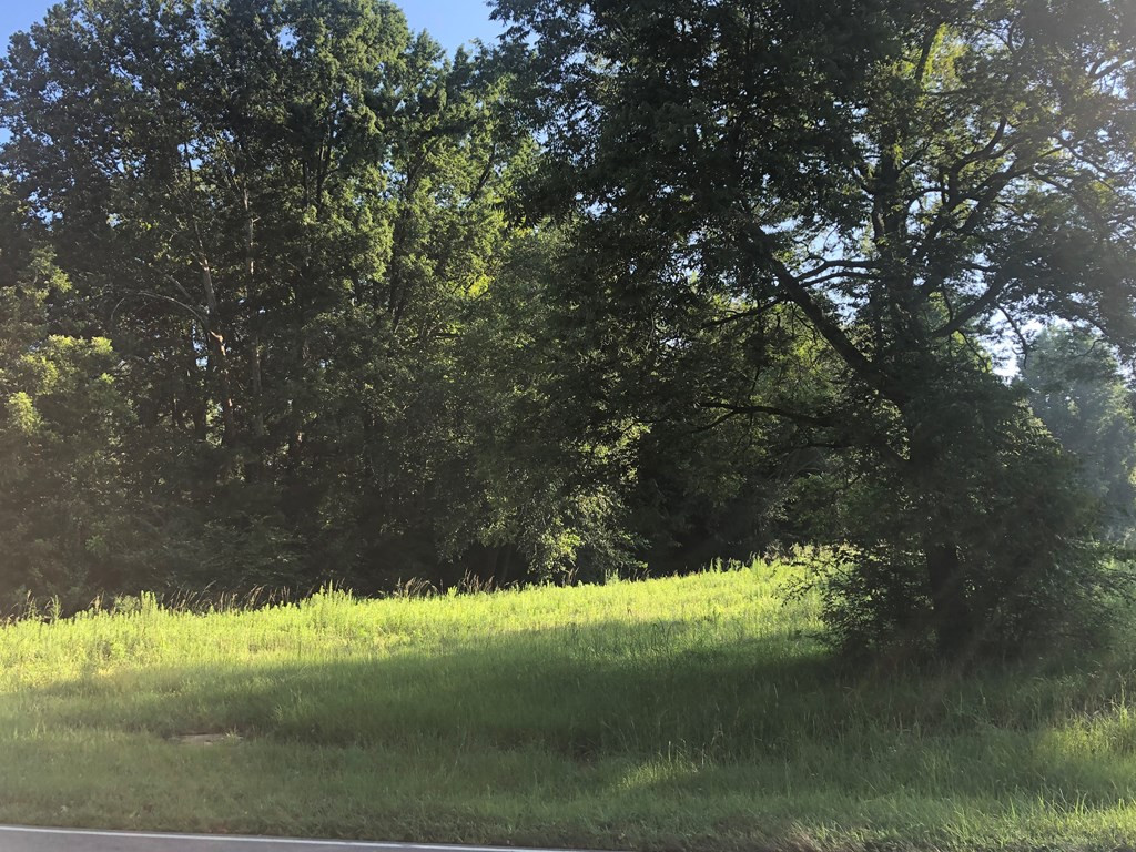 1463 Batten Farm Road Selma, NC 27576 - Photo 6 of 13 Gallery Image 6