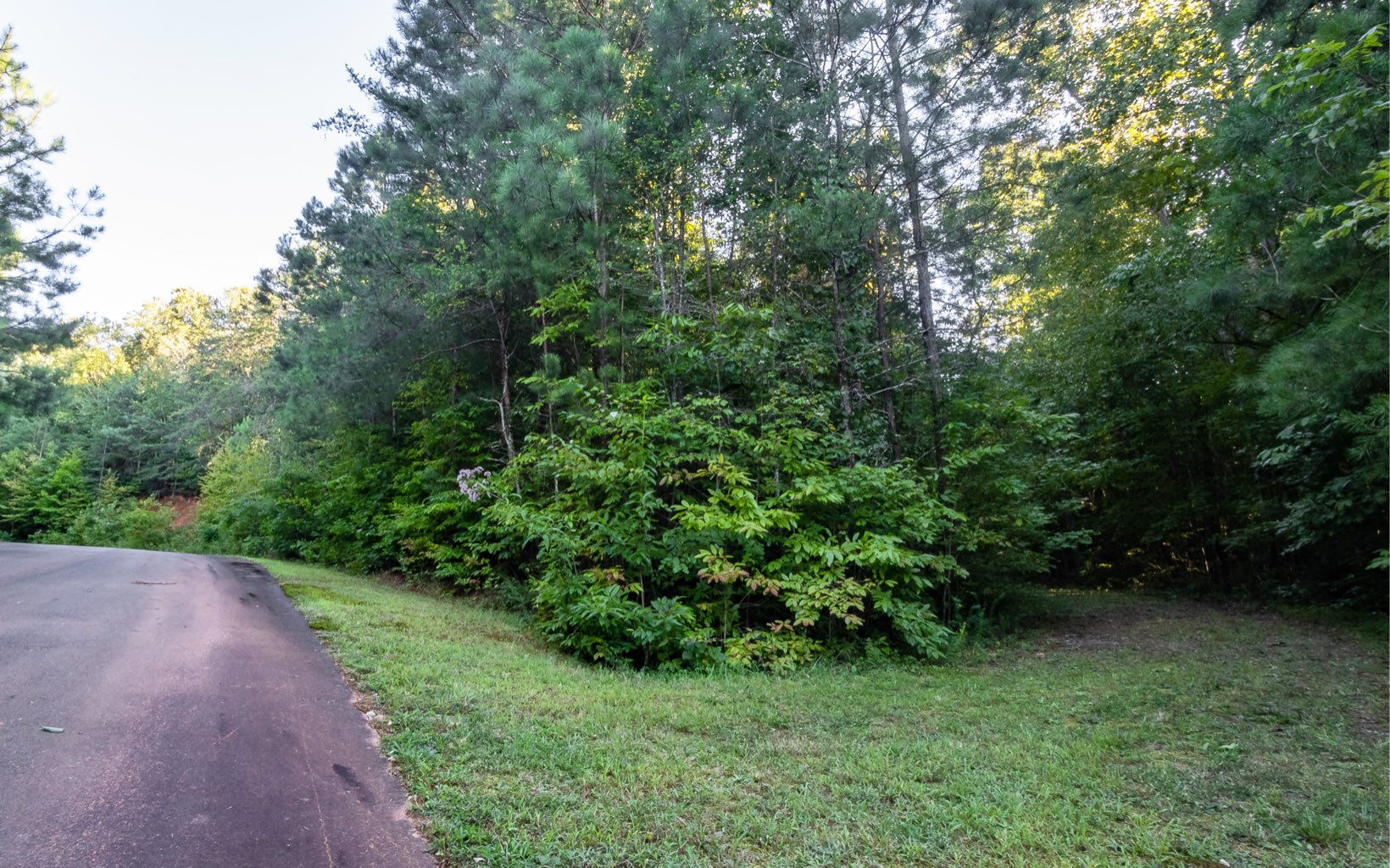 East Ridge, Unit 13 Ellijay, GA 30536 - Photo 1 of 1 a view of a lush green forest