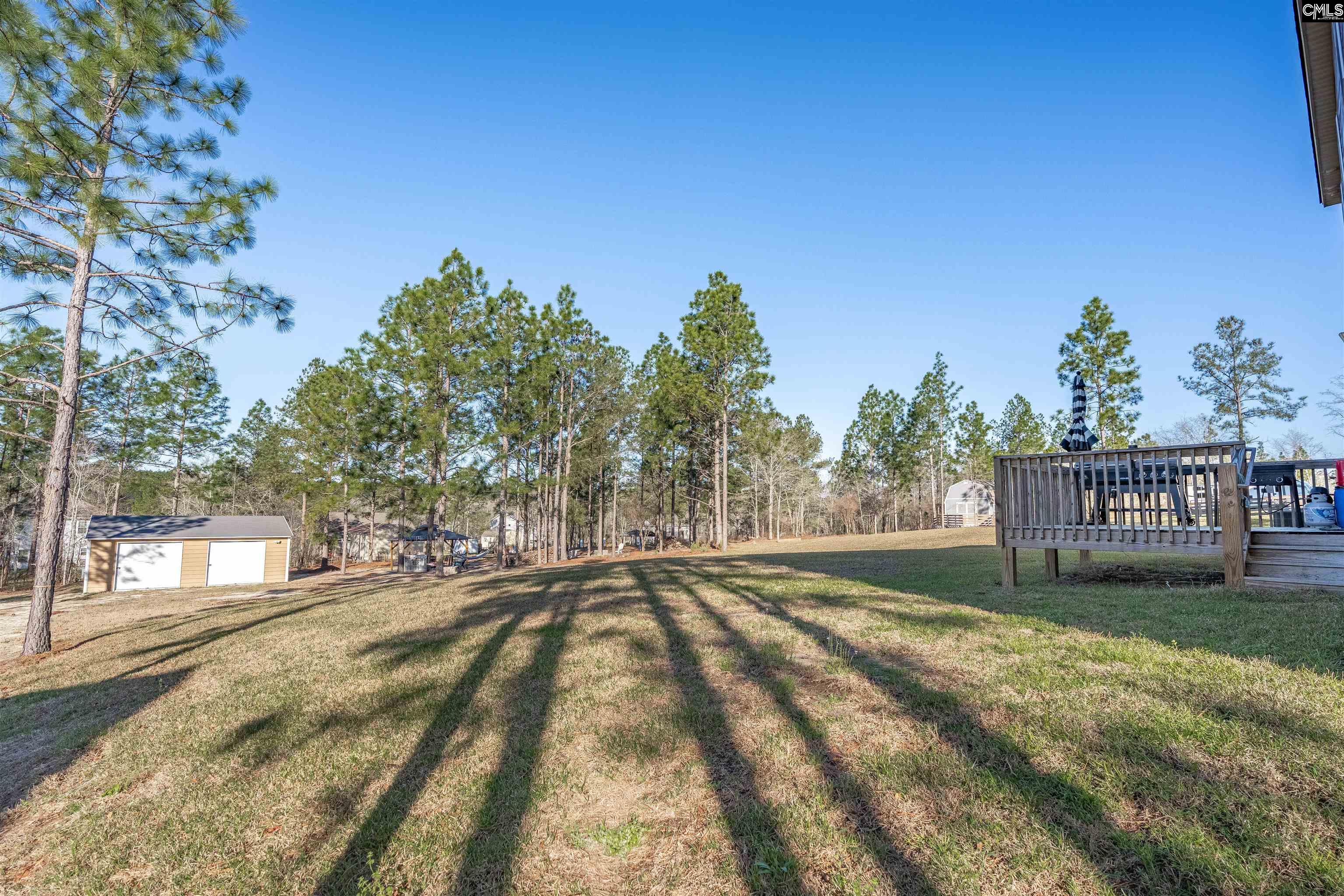 652 Rose Quartz Lane Lexington, SC 29073 - Photo 41 of 51