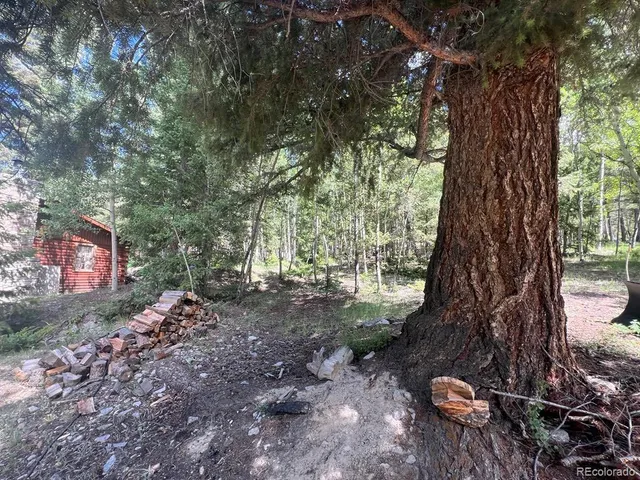 a view of a tree with a yard