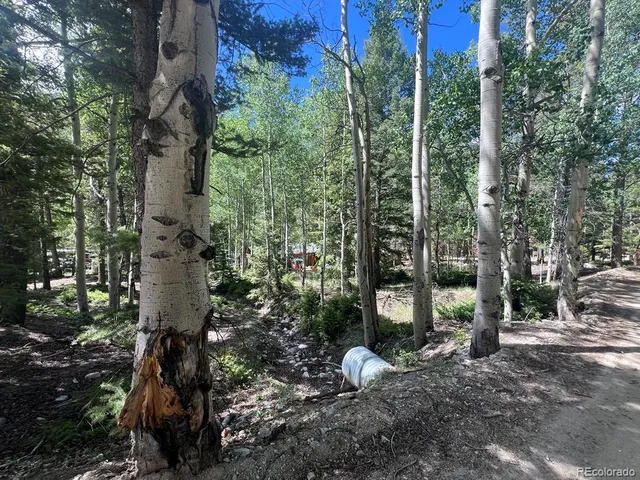a car parked in front of a road with trees