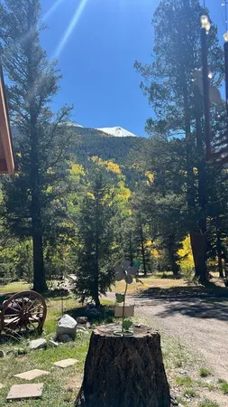 a front view of a house with a garden and trees