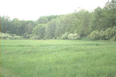 Garbow Road, Unit APP 7 Middleville, MI 49333 - Photo 1 of 1 Primary Photo