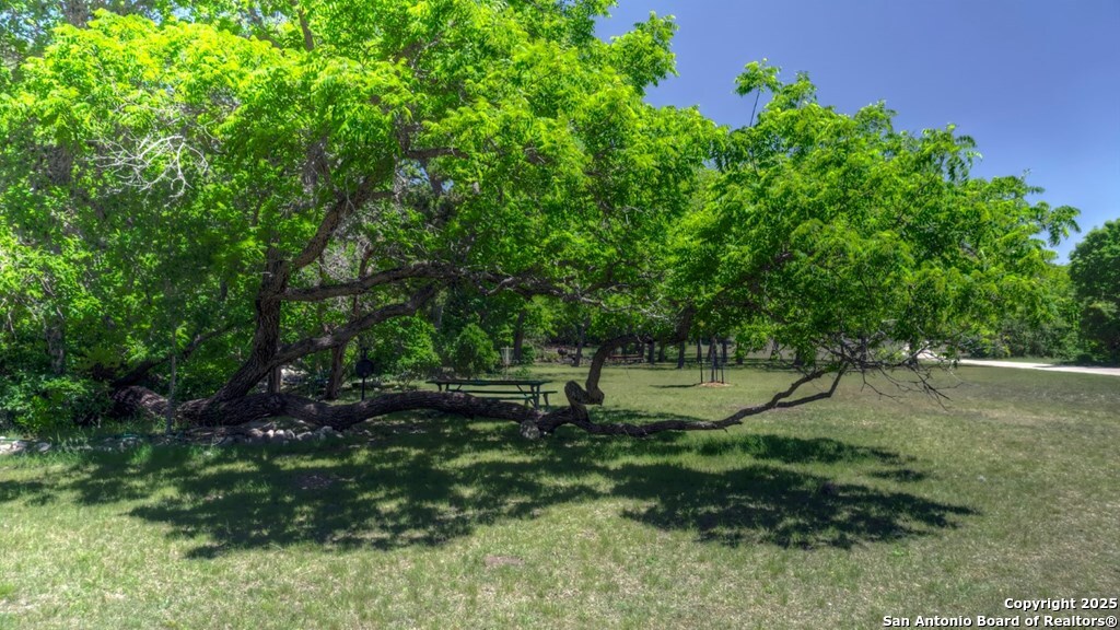 560 Pine Mountain Road Camp Wood, TX 78833 - Photo 35 of 38 a green field with lots of trees