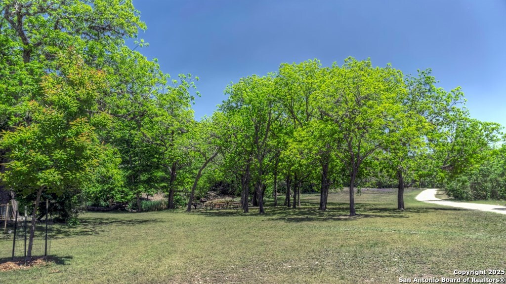 560 Pine Mountain Road Camp Wood, TX 78833 - Photo 36 of 38 a backyard of a house with lots of plants and tree