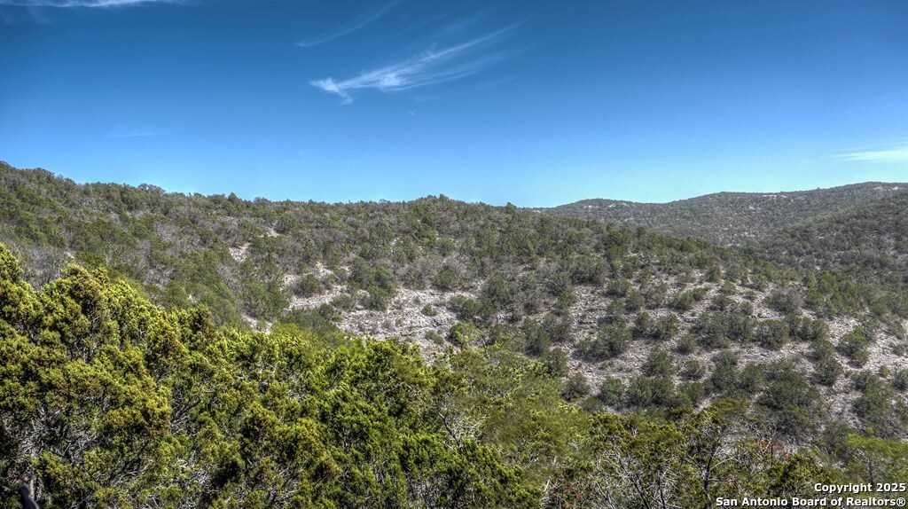560 Pine Mountain Road Camp Wood, TX 78833 - Photo 5 of 38 a view of a large tree in a field