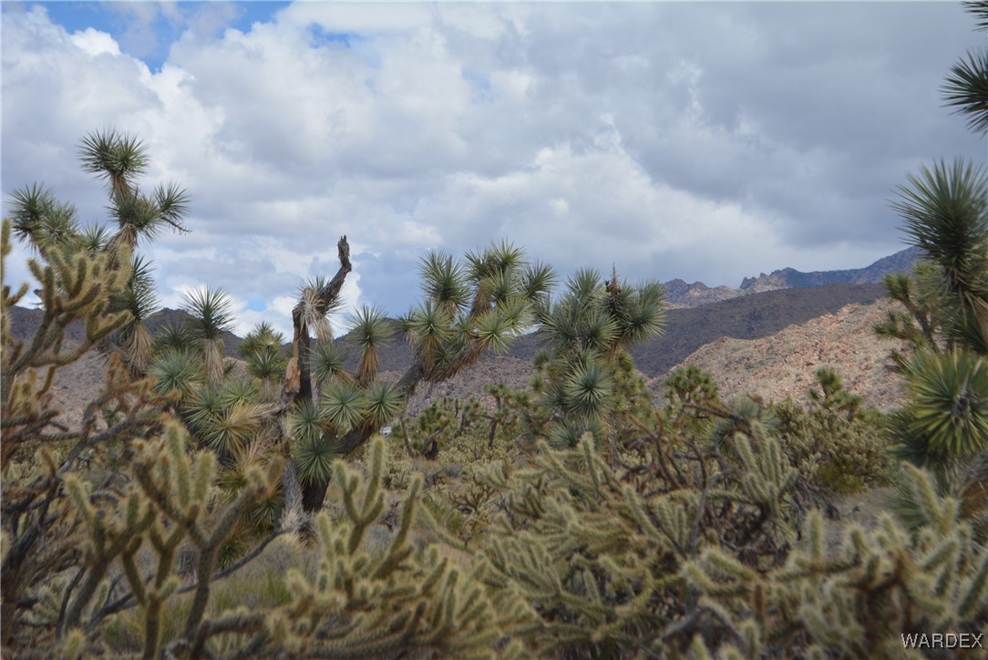 11900 Alan Road Yucca, AZ 86438 - Photo 83 of 99 Gallery Image 83