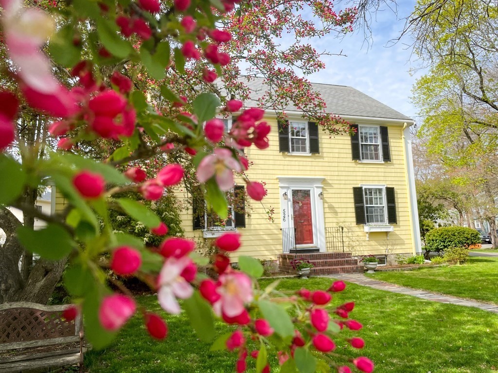 526 Quinobequin Road Newton, MA 02468 - Photo 7 of 42 a front view of a house that has a lot of flowers and flowers in it