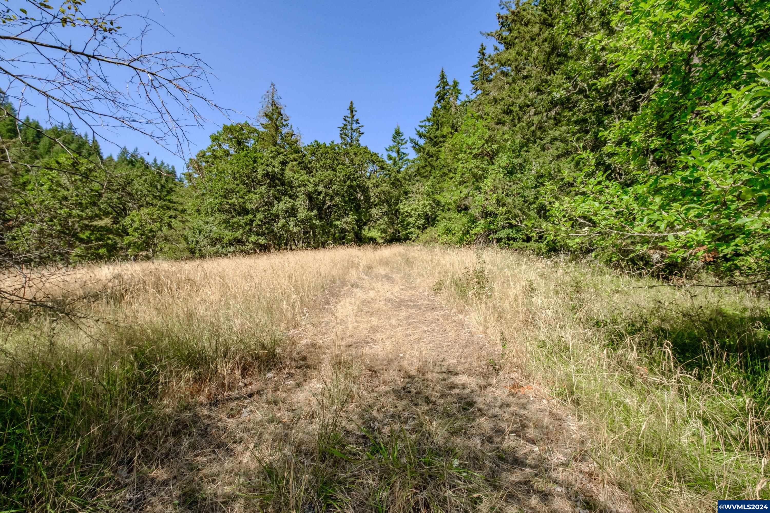 28920 Sheep Head Road Brownsville, OR 97327 - Photo 21 of 32