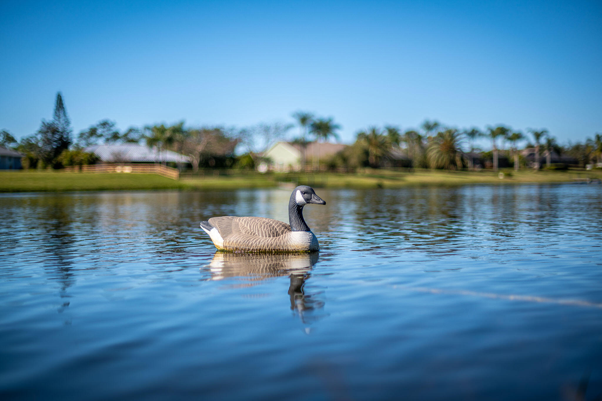 1566 Eagles Circle Sebastian, FL 32958 - Photo 46 of 74 a lake view with a lake view
