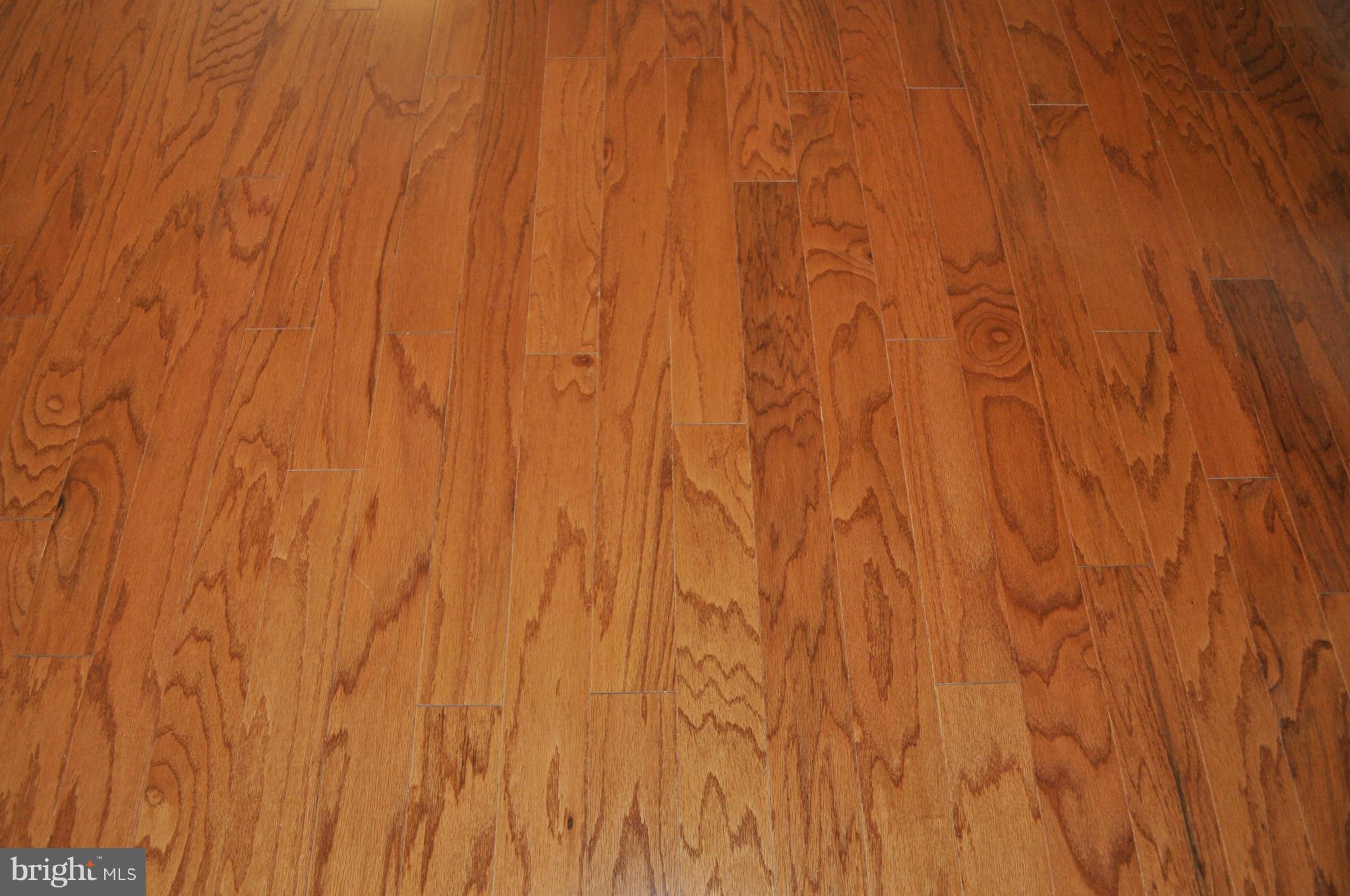 2011 Inverton Road Baltimore, MD 21222 - Photo 5 of 28 Interior (General)