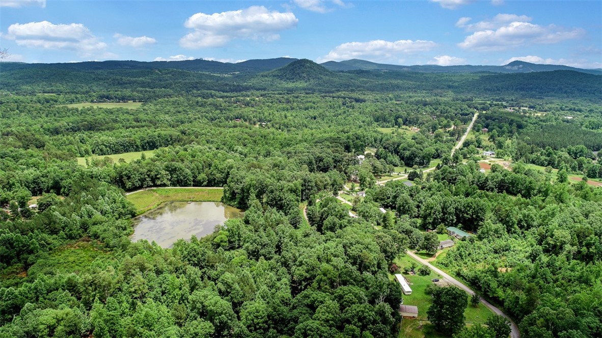 0 Left Fork Road, Unit LOT 80 Pickens, SC 29671 - Photo 5 of 5