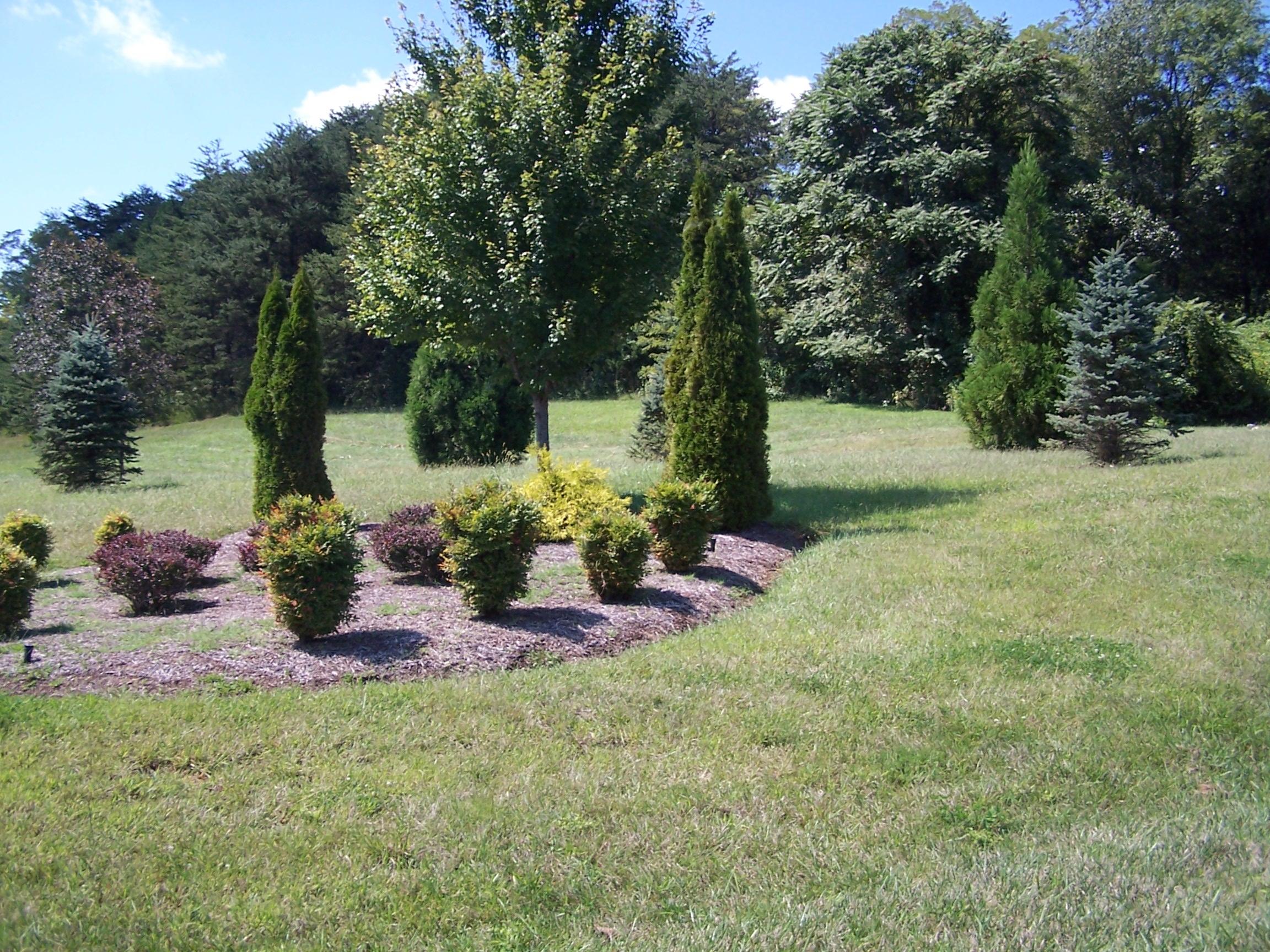 Lot 6 Hickory Ridge Blue Ridge, VA 24064 - Photo 3 of 7 a view of a backyard with sitting area