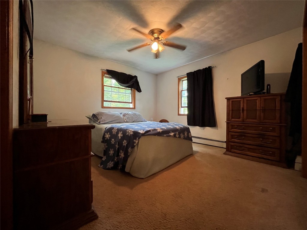 204 Nelson Frank Road Deposit, NY 13754 - Photo 13 of 20