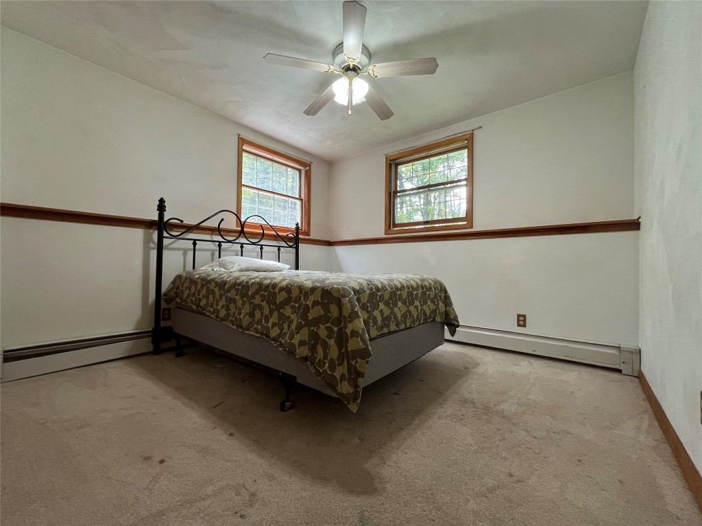 204 Nelson Frank Road Deposit, NY 13754 - Photo 15 of 20